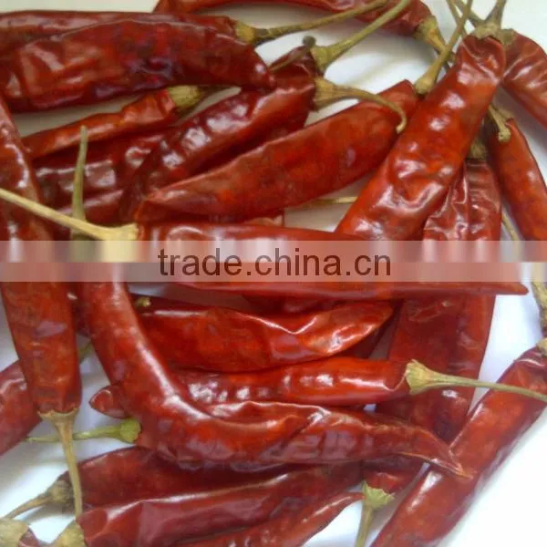 Chillies Wonder Hot photo-5