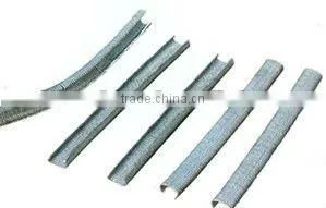 Made in China C Ring Staple