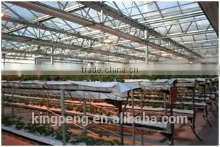 Hydroponic Fruit and Vegetable Glass Greenhouse photo-3