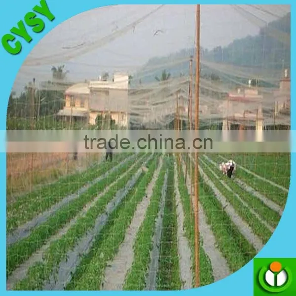 pe Anti Bird Net,green Anti Bird Net,bird Netting (factory) photo-4