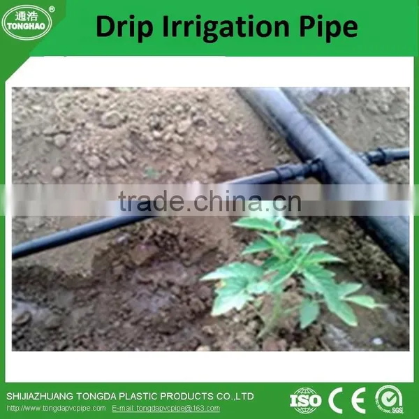 Wholesale Price PE Material Drip Irrigation Pipe for Agriculture photo-4