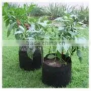 Nonwoven Fabric Raised Bed for Flowers (1 Gal to 1200 Gal) OEM Smart Pots photo-4