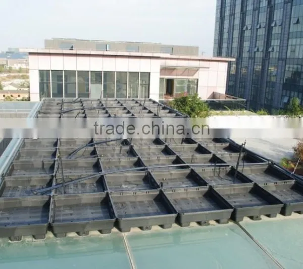 SOL 2015 Roof Green Garden Plastic Planters Green Roof System photo-4