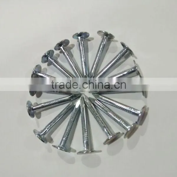 Roofing Nails / Clout Nails photo-5