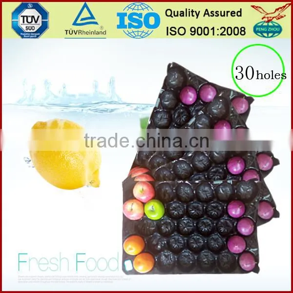 China Supply Factory Price PP ProtectiveTray for Apple Packing photo-4