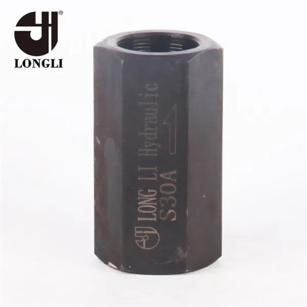 S30A Rexroth Type Hydraulic High Pressure Check Thread Valve photo-4