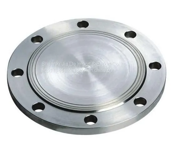 ANSI B16.5 Forged FF RF Pipe Flange
