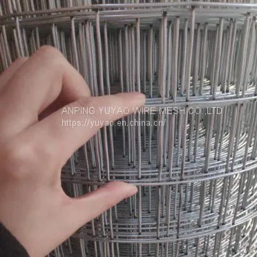 Factory Low Price 1/2 Inch Green 1X2 Pvc Coated Welded Wire Mesh photo-3