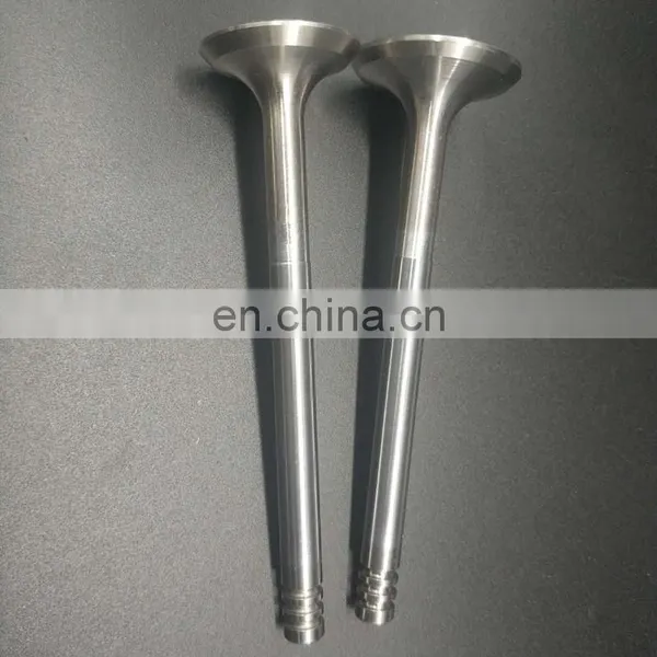 For Truck Isuzuu 6SA1 6SD1 Engine Valves Assy Inlet Outlet Diesel Spare Engine Parts 1-12551-089-0 photo-6
