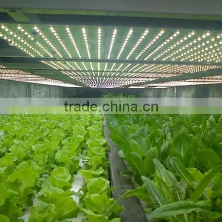 2016 Cheap Price 15W MINI Weed Led Grow Lights Greenhouse Cultivation