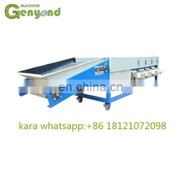 Fruit Sorting and Grading Machine for Apple/ Tomato/ Kiwi Fruit/ Potato/ Pineapple photo-3