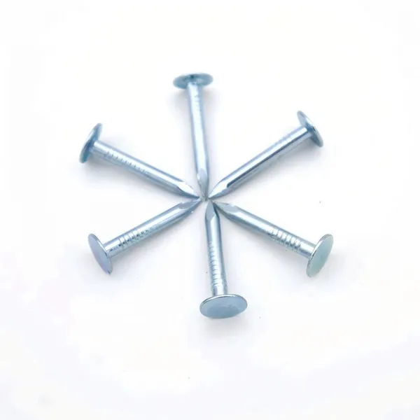 1inch Galvanized Clout Nails 1kg/box 25kg/carton Building Materials photo-2