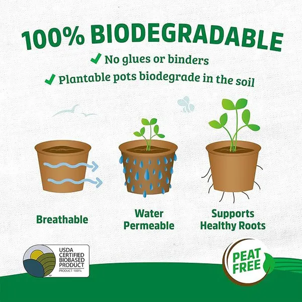 Disposable Jiffy Pot for Seedling Transplant Peat Pot 40 Cells per Flat photo-4
