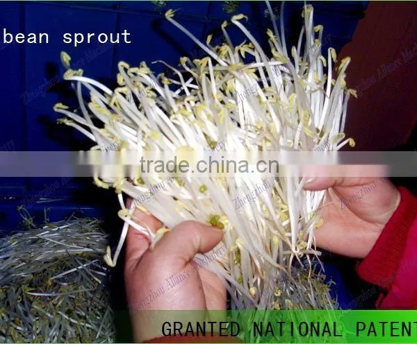 Hot Sales Automatic Equipments for Shoots /peas /radish /alfalfa Sprouts Cultivate photo-2