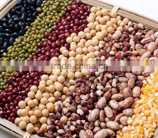 Lucao Brand Soybean Cleaning Machine/lentil Cleaning Machine/bean Cleaning Machine With Loww Price photo-4