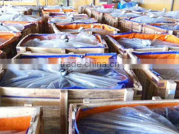 Gherkins in Brine Solution Packing in Drums or Wooden Boxes photo-3
