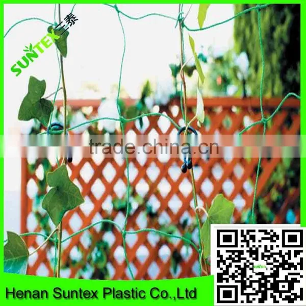 High Quality Plastic Grape Plant Support Net/plants Protection Net photo-3