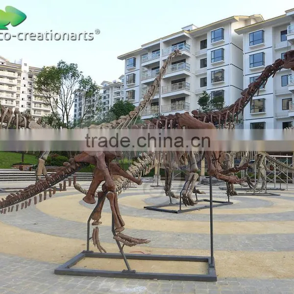 Outdoor Park Life Size Fiberglass Dinosaur Skeleton photo-5