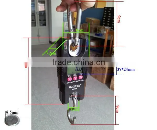 300kg*100g Weiheng Digital Crane Scale Cheap photo-2