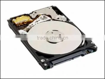 300 GB 15K RPM SAS Disk Unit