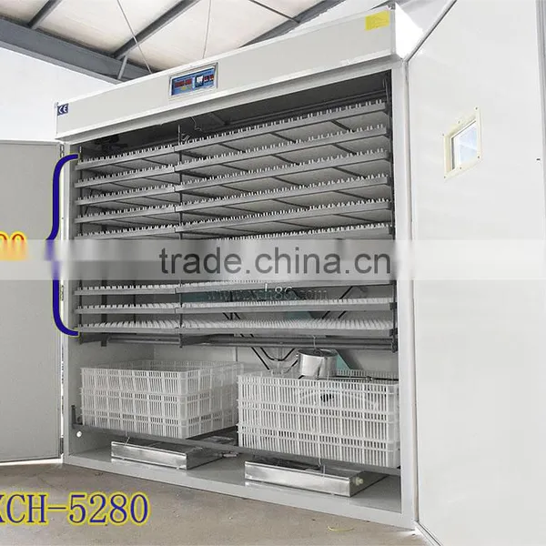 Special Offer Large Capacity Ostrich Egg Incubator for Sale photo-2