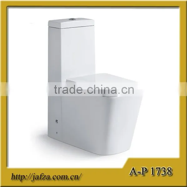 1738 One Piece Toilet
