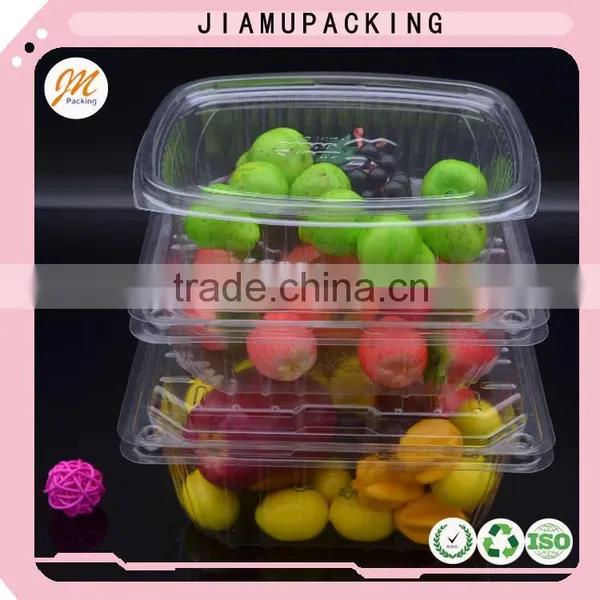 Disposable Plastic Food Container photo-6