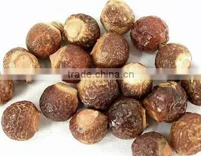 Soapnuts Sapindus Mukorossi