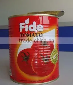 Canned Tomato Paste 4.5 kg Canned Tomato Paste 2.2 kg photo-6