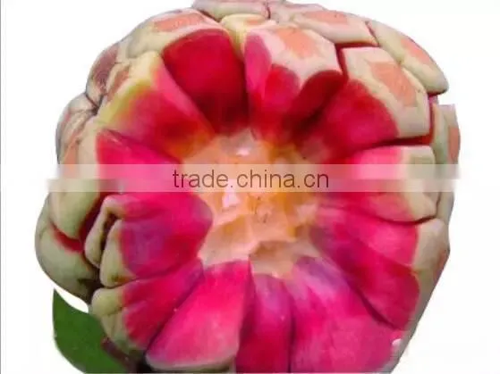 Kadsura Coccinea Fruiter Seeds for Growing photo-6