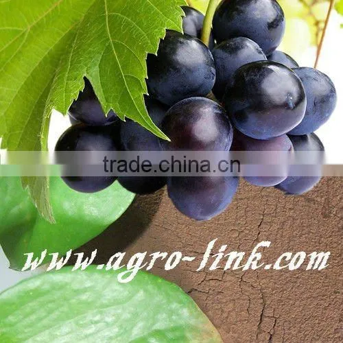Natural Yellow Fulvic Acid Fertilizer