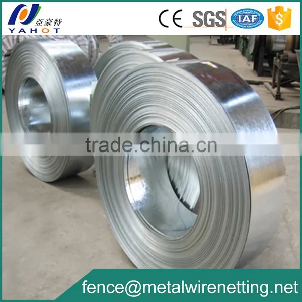0.3mm GI Sheet In Coils photo-4