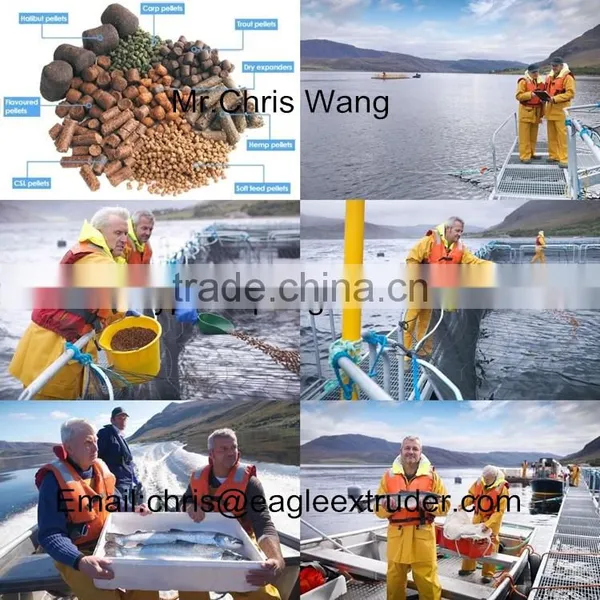 Animal Feed Extruder Machine for Pet and Fish photo-3