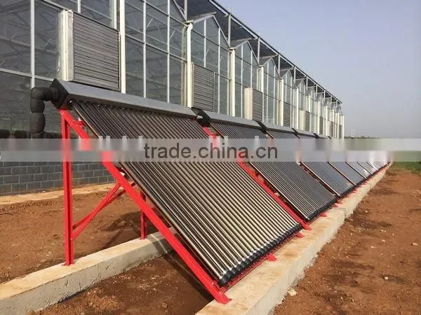 2016 New Design Greenhouses for Roses photo-2