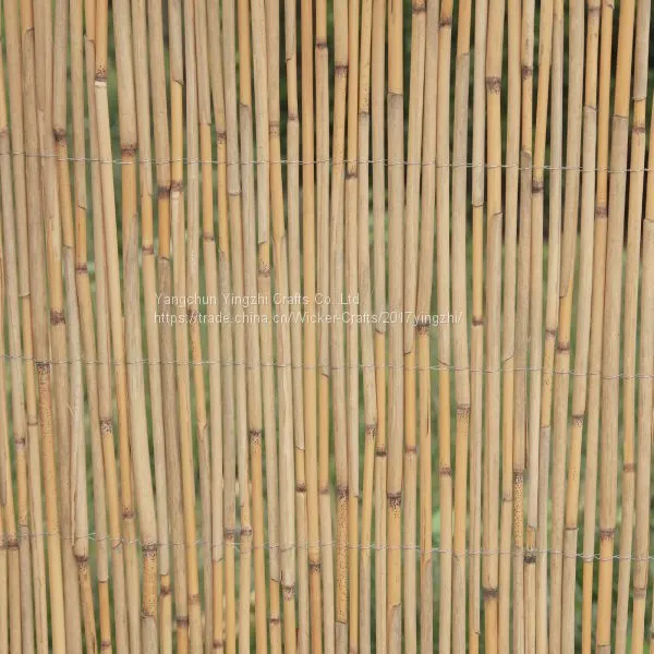 Bamboo Style Rolled Woven Reed Fence for Garden Decoration photo-4