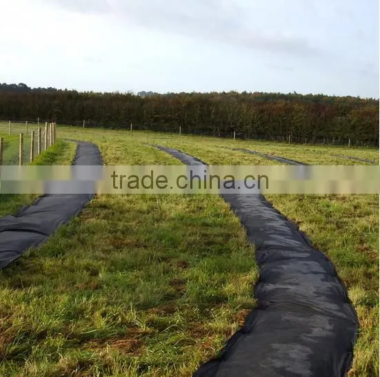 Breathable Fabric Ground Cover Sheet photo-4