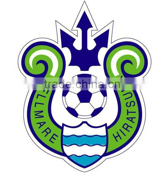 Custom Sport Heat Transfer Sticker/Iron-on Sticker for Jerseys by Heat Transfer Machine photo-6