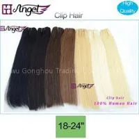 Remy Clip In On Natural Human Hair Extensions