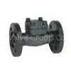 Forged Check Valve