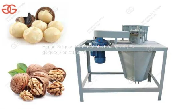 Commercial Walnut|Macadamia Nut Cracking Machine|Walnut Shelling Machine Price photo-4