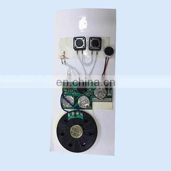 Customized Voice Recorder Chip Programmable Sound Chip for Electronic Plush Toy and Doll photo-2