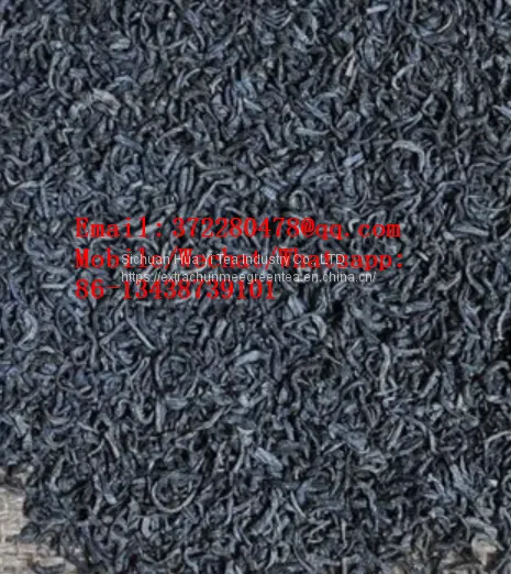Chinese Extract Chunmee Tea 3008 9366 3010 for Turkmenistan Tajikistan photo-3