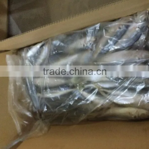 Horse Mackerel From China Size 9 -11 Pcs / kg photo-3