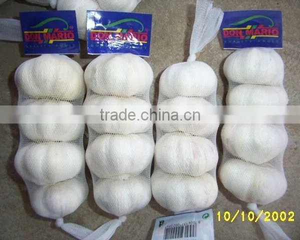 Chinese Garlic