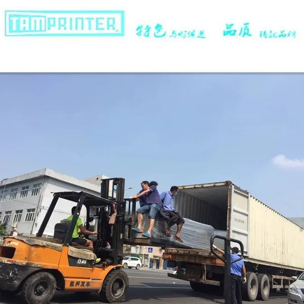 Factory Supplier Automatic IR Tunnel Conveyor Curing Oven photo-5