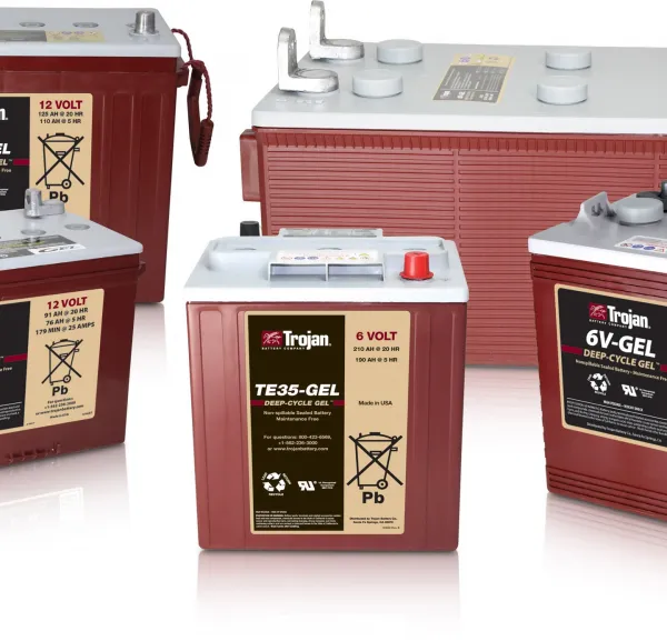 Qiu Jian Trojan Battery T-105 American Qiu Jian Battery 6V225AH Sightseeing Car T105 Floor Scrubber Battery photo-4