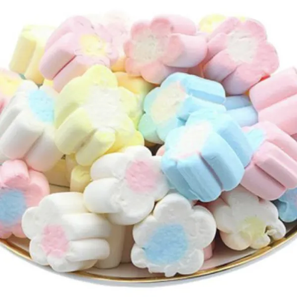 Quality Marshmallow Soft Sweet Candy in Bulk and Bag Pack for Wholesalers and Supermarkets photo-4