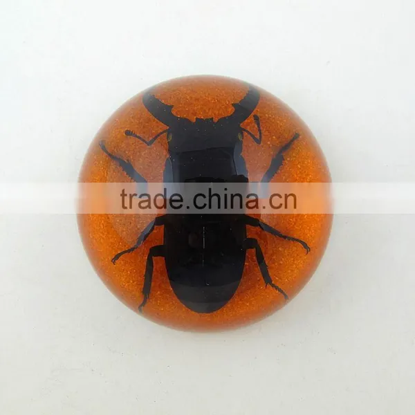 2016 New Latest Design Novel Wholesale Funny Paperweight photo-2