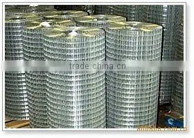 Welded Wire Mesh