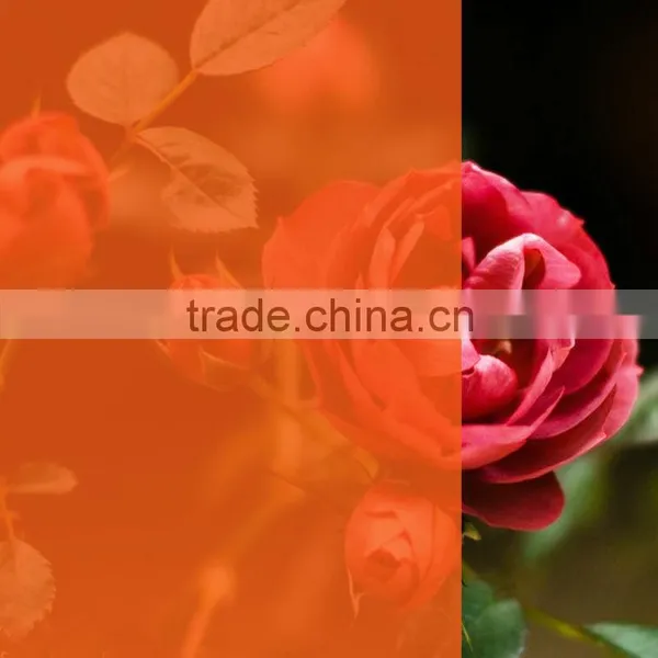 Decorative PET Salmon Transparent Color Foil Paper Similar to 3M Window Film photo-2